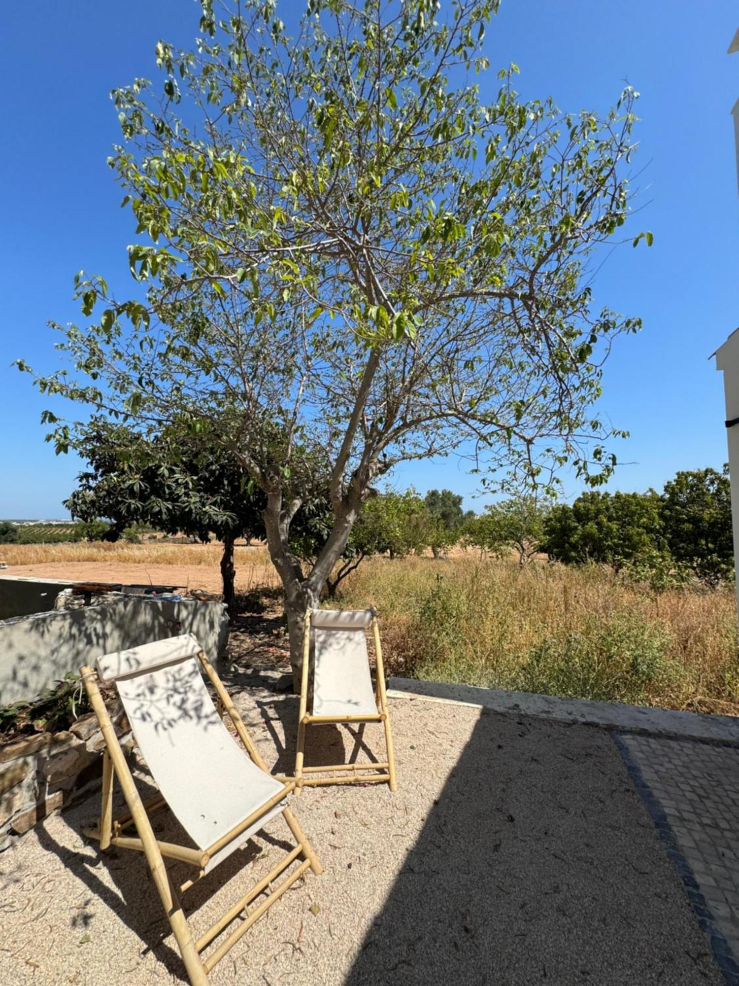 Vila Quinta Castor Vila Nova de Cacela Exteriér fotografie