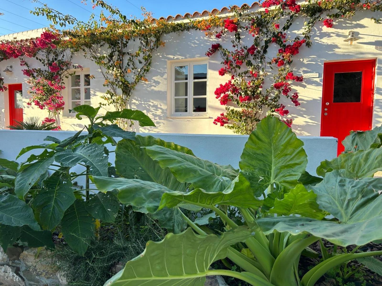 Vila Quinta Castor Vila Nova de Cacela Exteriér fotografie